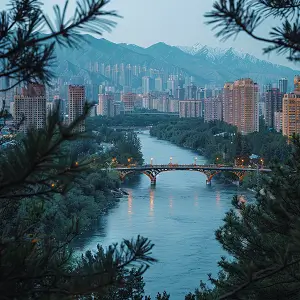 企业u盾怎么操作