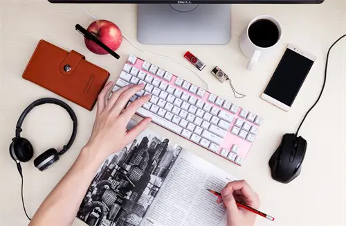 企业缴税地怎么查